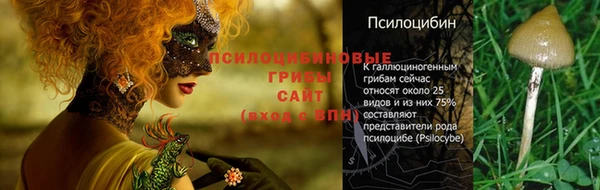 синтетический гашиш Абинск