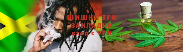стафф Долгопрудный