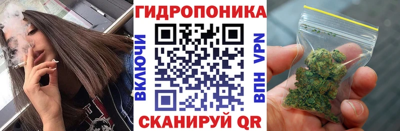 Канабис SATIVA & INDICA Алейск